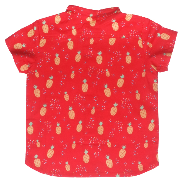 Boy's Mandarin Shirt - Festive Pop Pineapples 
