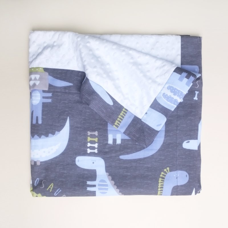 Minky Baby Blanket- Dinosaurs 