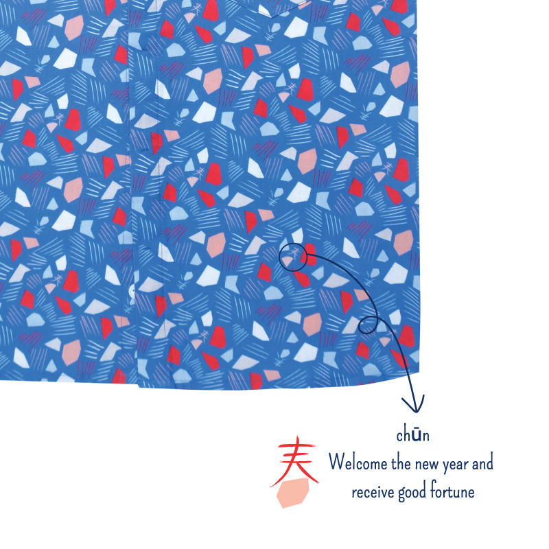 Boy's Mandarin Shirt - Spring Gems - Blue